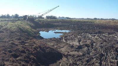 Using the dragline to clear digestive sludge
