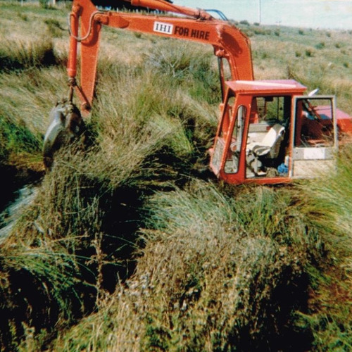 Bit of a whoopsie whilst draining an old dredge hole