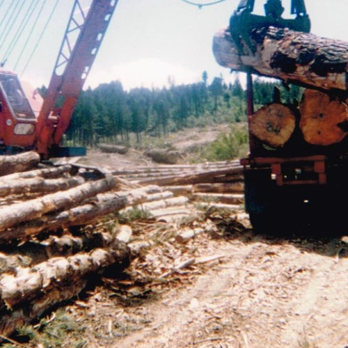 Rope crane in operation