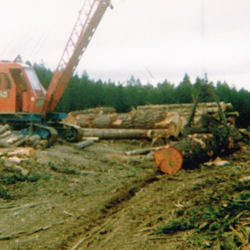 Rope crane in operation